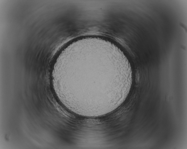 X0000100501356200807031930