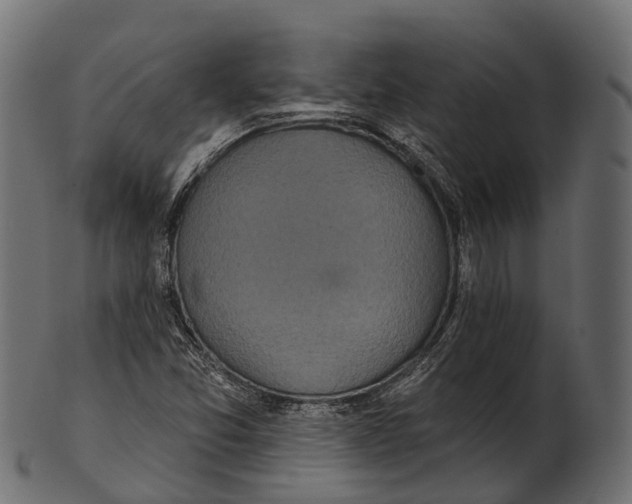 X0000100501357200807031930