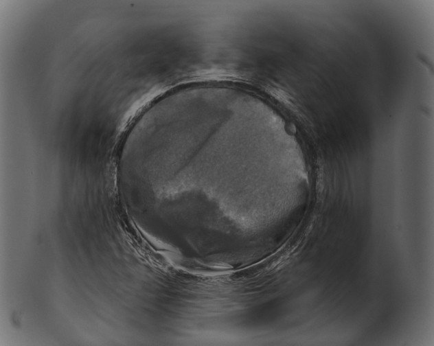 X0000100501358200807031930