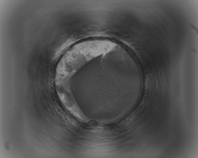 X0000100501359200807031930