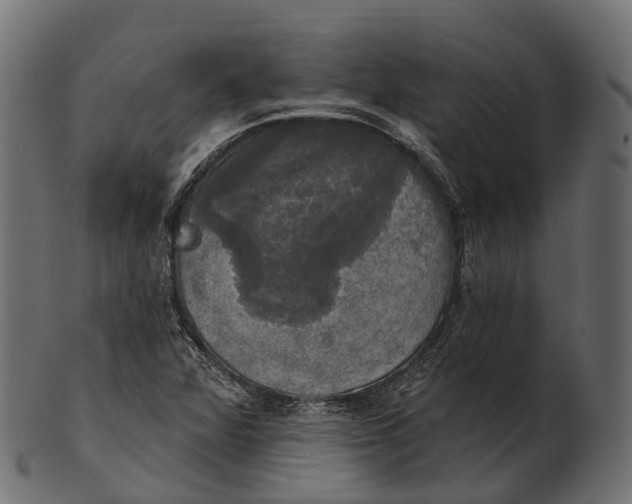 X0000100501360200807031930