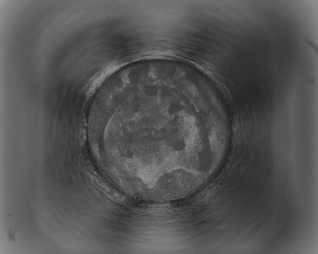 X0000100501363200807031930