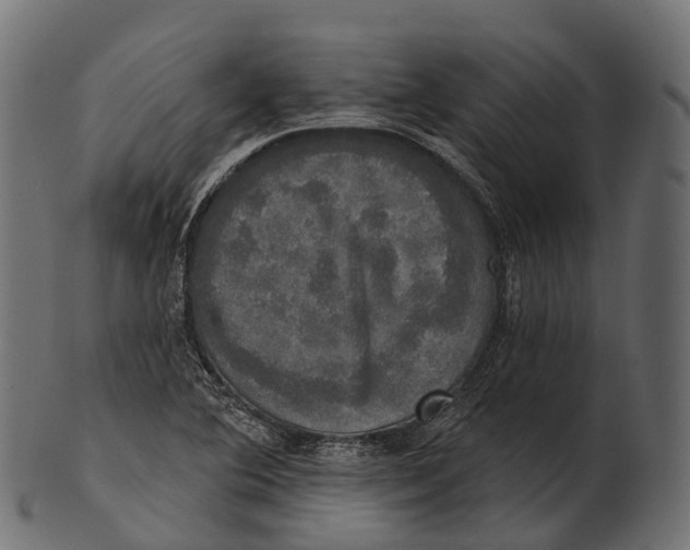 X0000100501364200807031930