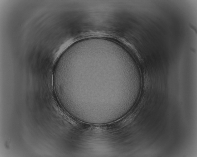 X0000100501365200807031930