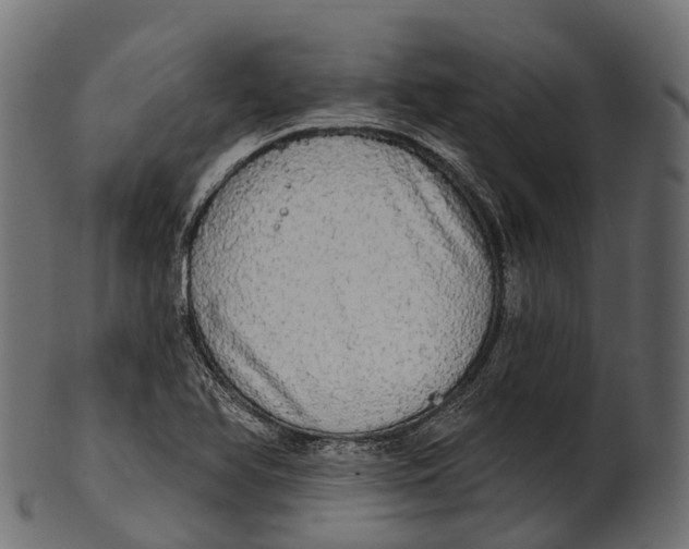 X0000100501366200807031930