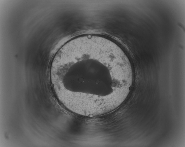 X0000100501367200807031930