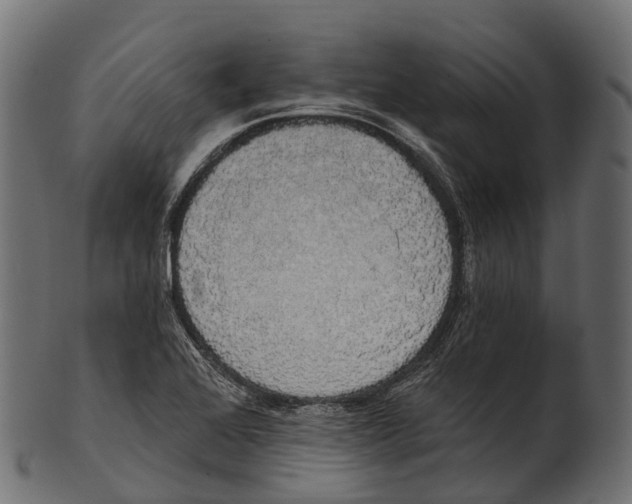 X0000100501368200807031930