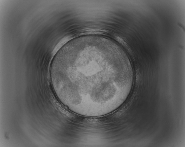 X0000100501370200807031930