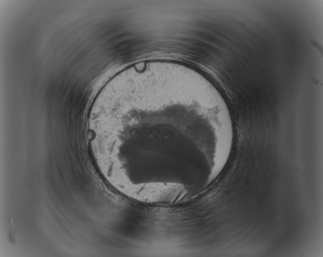 X0000100501371200807031930