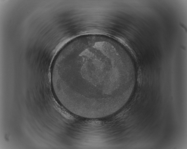 X0000100501372200807031930