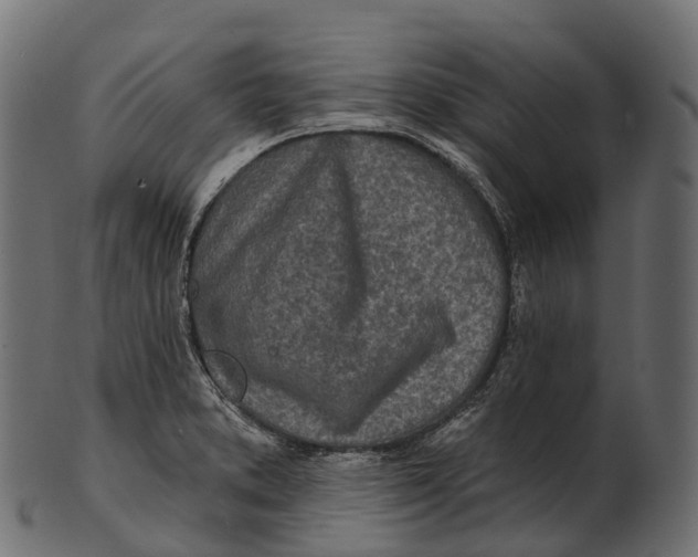 X0000100501373200807031930