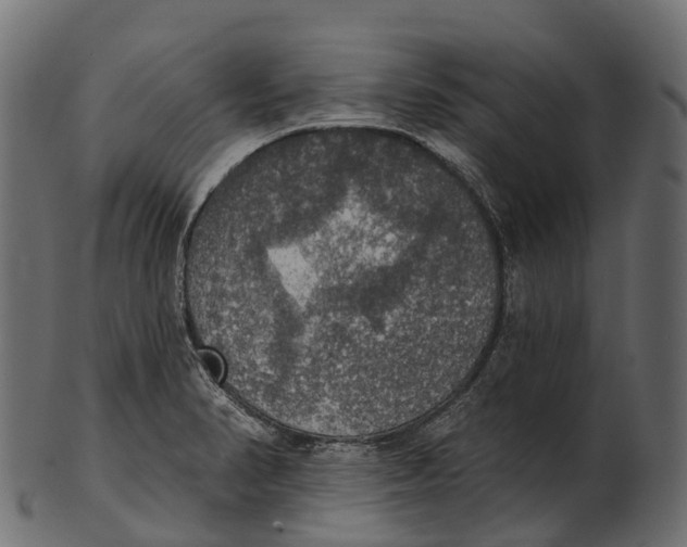 X0000100501374200807031930