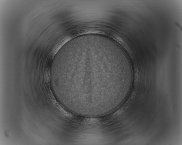 X0000100501377200807031930