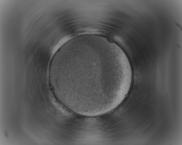 X0000100501378200807031930