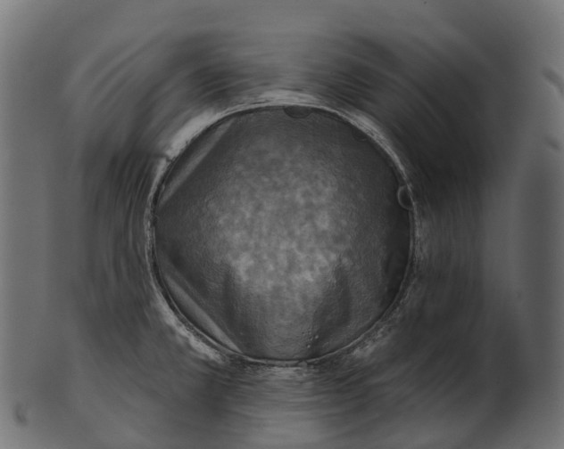 X0000100501381200807031930