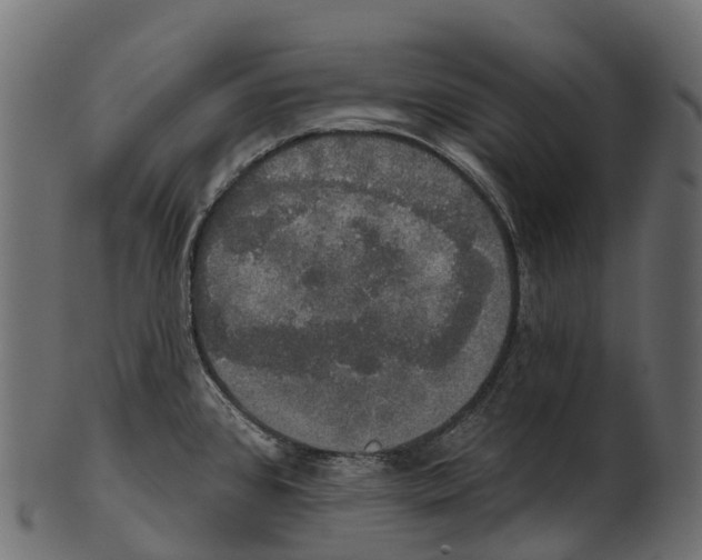 X0000100501384200807031930