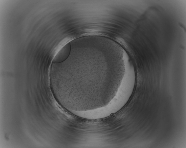 X0000100501386200807031930