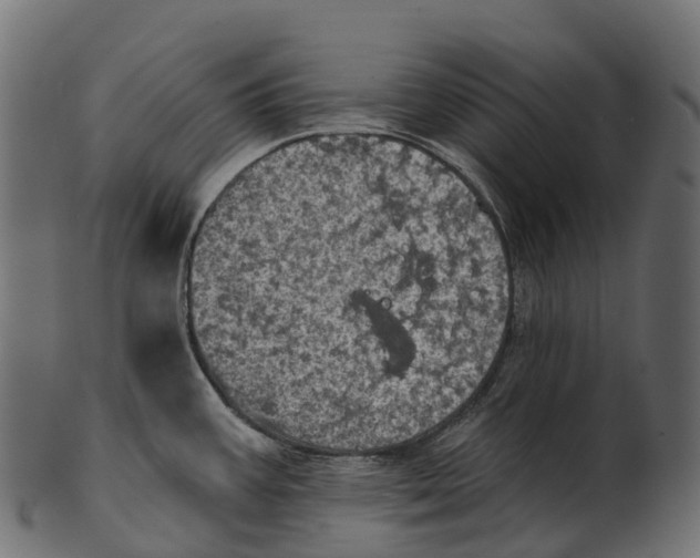 X0000100501387200807031930