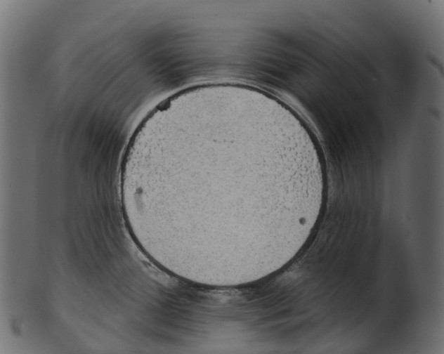 X0000100501388200807031930