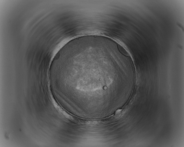 X0000100501389200807031930