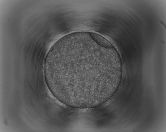 X0000100501390200807031930