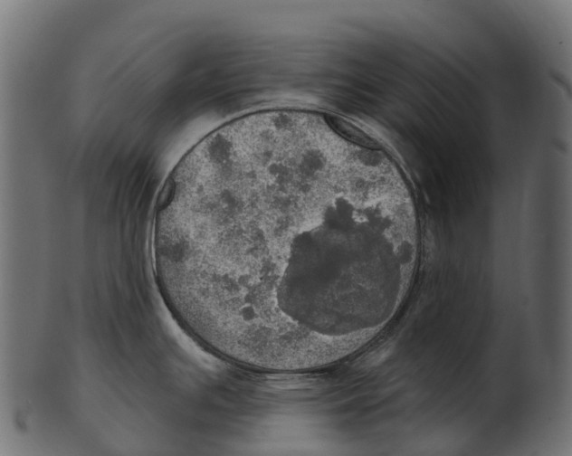 X0000100501391200807031930