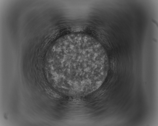 X0000100501393200807031929