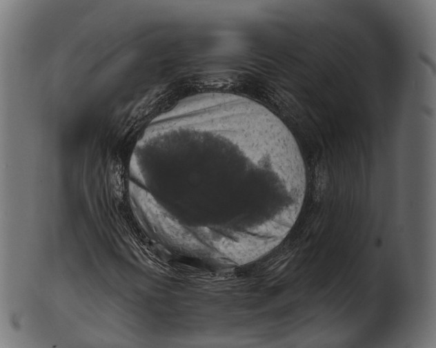 X0000100501394200807031929