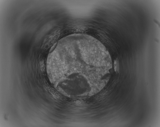 X0000100501395200807031929