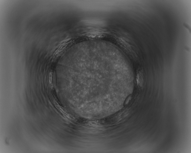 X0000100501396200807031929