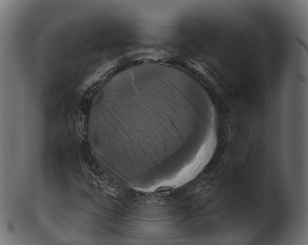 X0000100501399200807031929