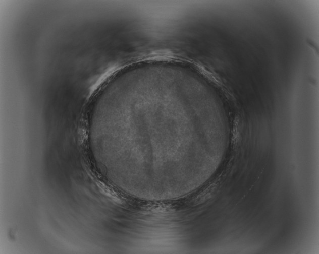 X0000100501400200807031929