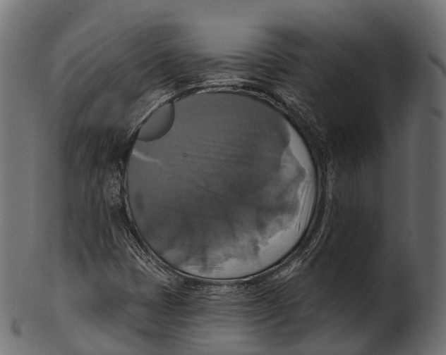 X0000100501401200807031929