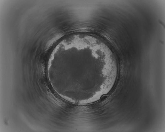 X0000100501402200807031929