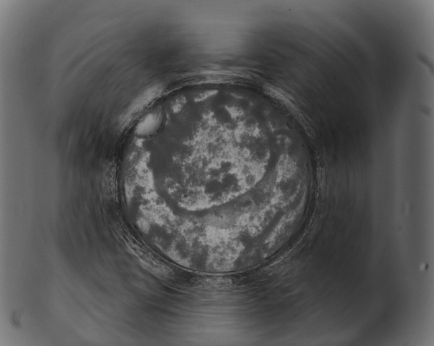 X0000100501403200807031929