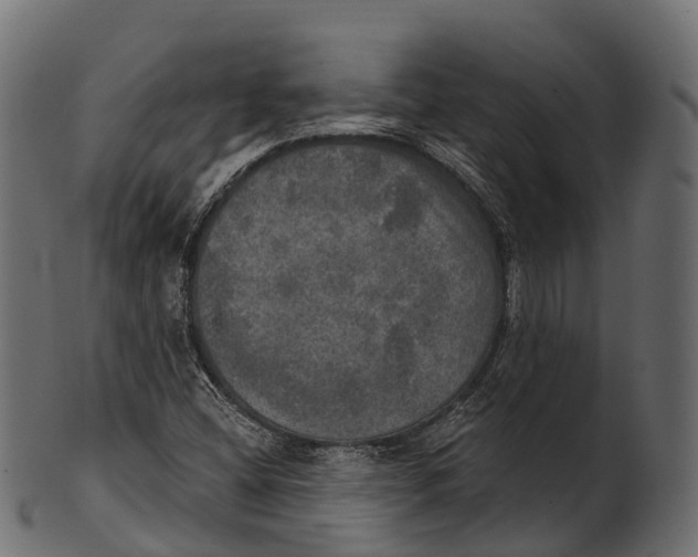 X0000100501404200807031929