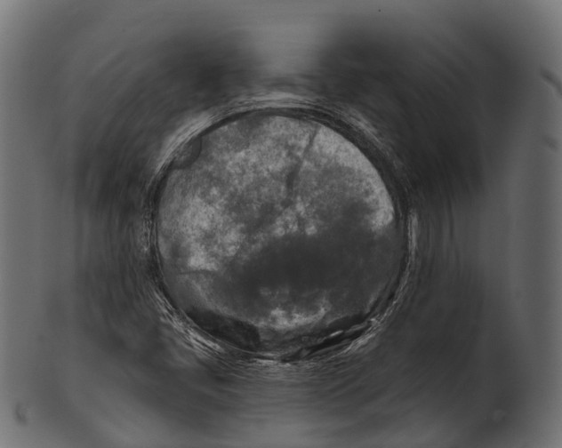 X0000100501405200807031929