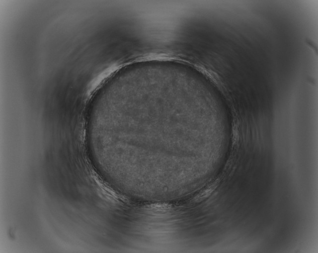 X0000100501406200807031929