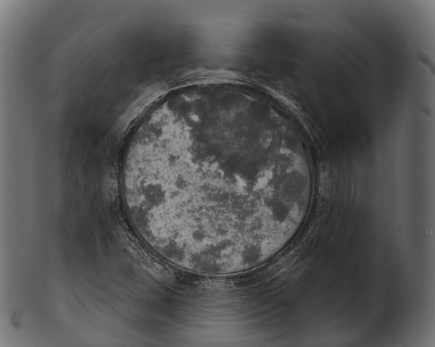 X0000100501407200807031929