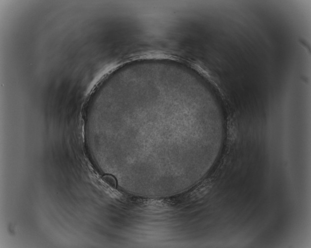 X0000100501408200807031929