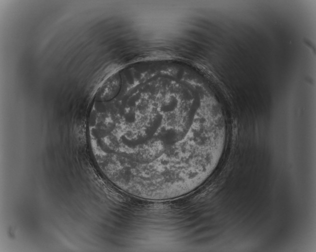 X0000100501409200807031929