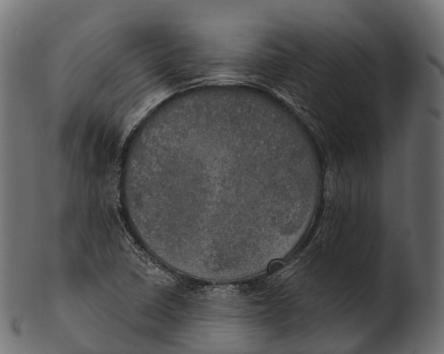 X0000100501410200807031929