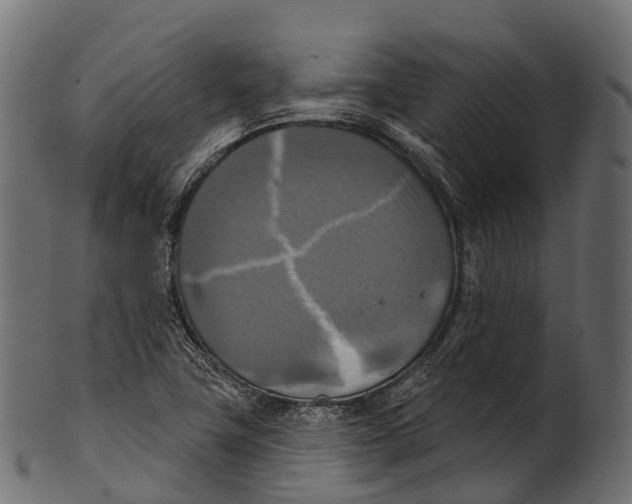 X0000100501411200807031929