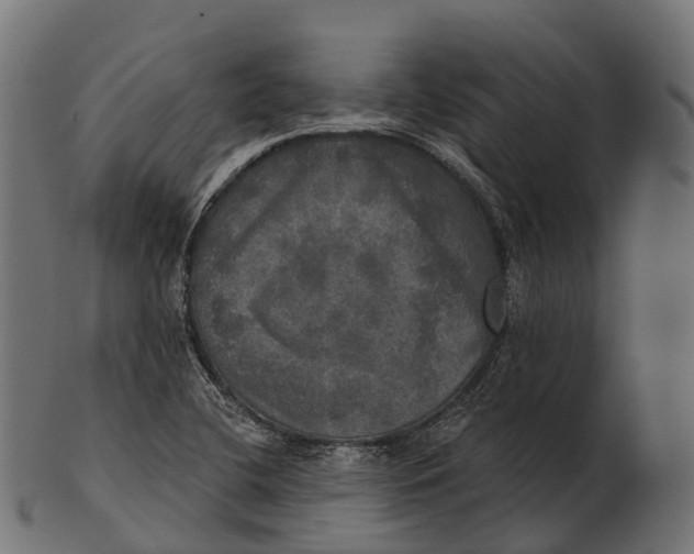 X0000100501412200807031929