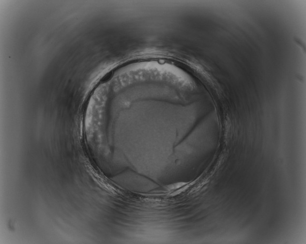 X0000100501413200807031929