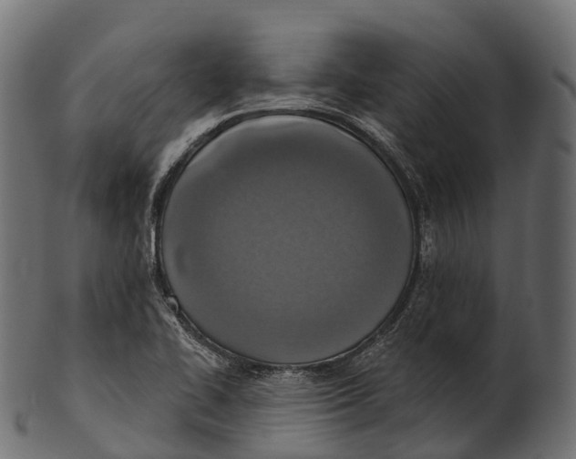 X0000100501414200807031929