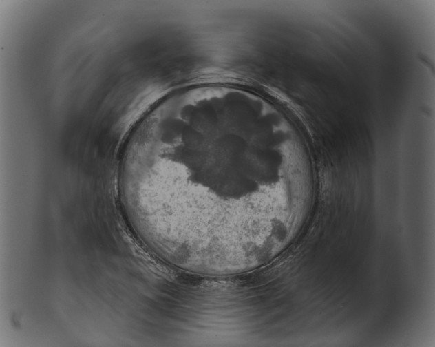 X0000100501415200807031929