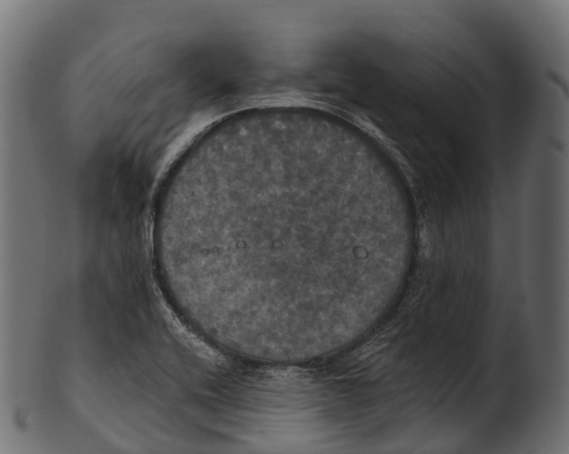 X0000100501416200807031929