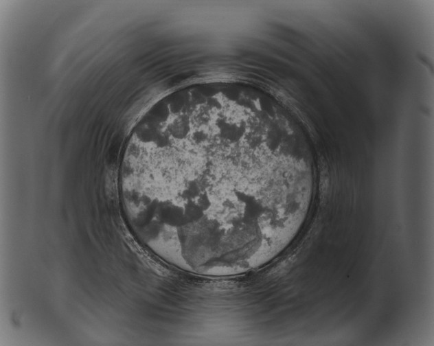 X0000100501417200807031929