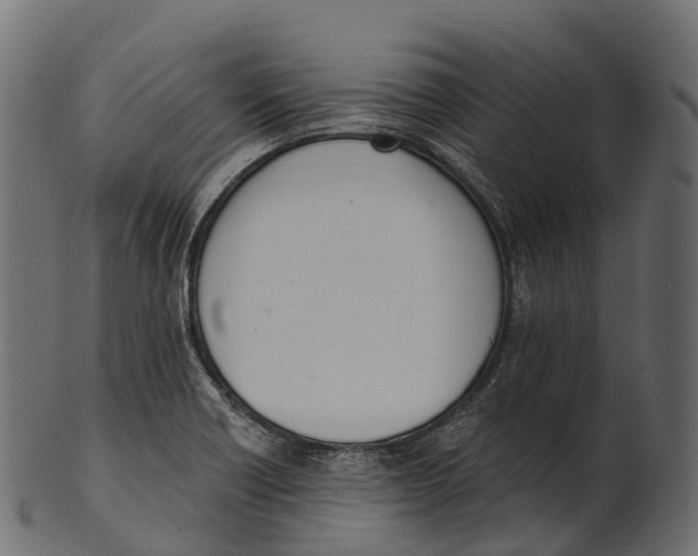 X0000100501418200807031929